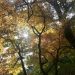 Contato com a natureza ajuda a melhorar o bem-estar dos idosos